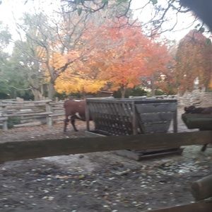 Meet your Posher, Nadya